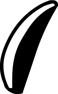 ロバブリトーのロバの耳